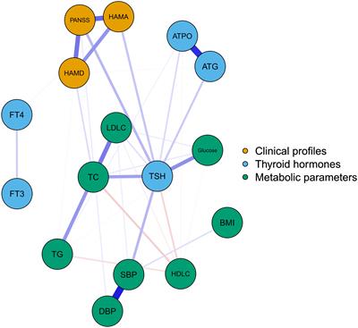 Clinical symptoms, thyroid dysfunction, and metabolic disturbances in first-episode drug-naïve major depressive disorder patients with suicide attempts: A network perspective